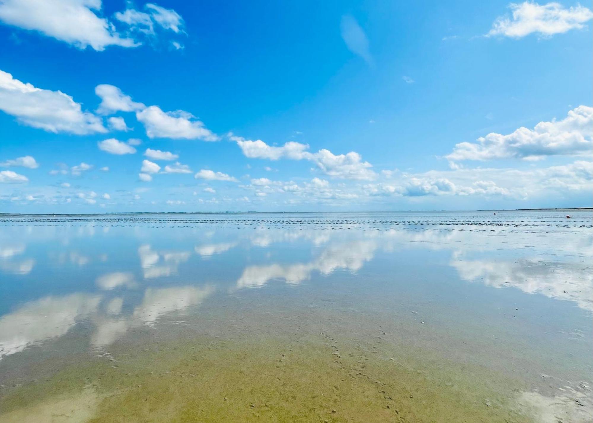 Fewo Frieda'S Platz Am Meer 단가스트 외부 사진